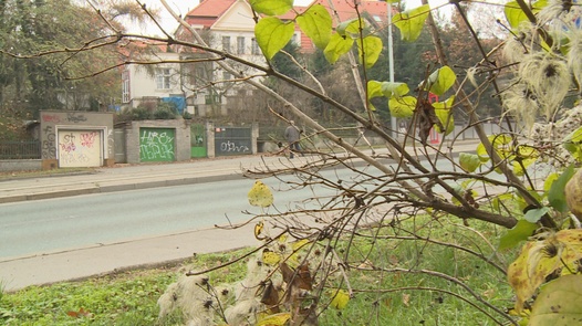 Nympho reitet einen Opa im Gebüsch | Czech Experiment 11