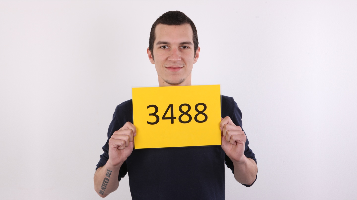 CZECH GAY CASTING - DAVID (3488)