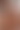 Eveline Dellais Live-Fick auf Glamino.com